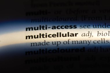 çok hücreli tek kelimeyle bir sözlük. çok hücreli konsept.