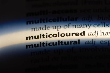 rengarenk tek kelimeyle bir sözlük. rengarenk kavramı.