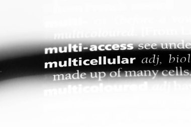 çok hücreli tek kelimeyle bir sözlük. çok hücreli konsept.