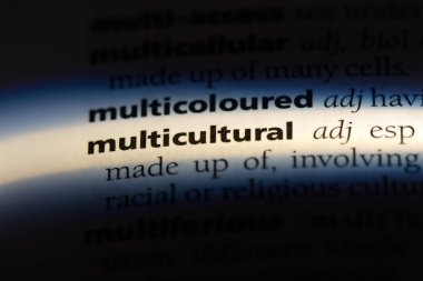 çok kültürlü tek kelimeyle bir sözlük. çok kültürlü kavramı.