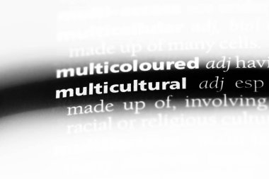 çok kültürlü tek kelimeyle bir sözlük. çok kültürlü kavramı.