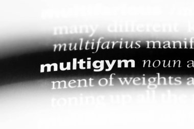 multigym tek kelimeyle bir sözlük. multigym kavramı.