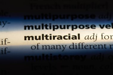 Tek kelimeyle çok ırklı bir sözlük. çok ırklı kavramı.