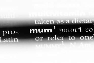 bir sözlüğü'ndeki anne sözcüğü. Anne kavramı.