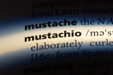 bıyıklı Word'de bir sözlük. bıyıklı kavramı.