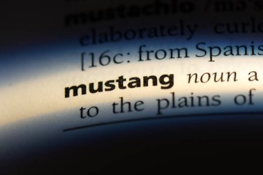 Mustang Word'de bir sözlük. Mustang kavramı.