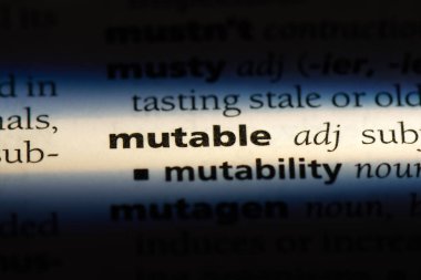 değişken sözcük sözlüğe. değişken kavramı.