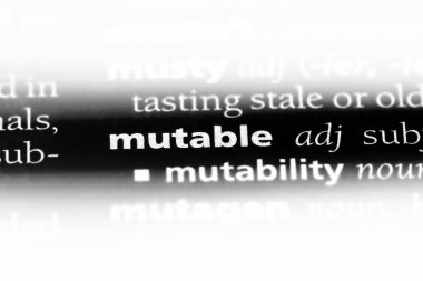 değişken sözcük sözlüğe. değişken kavramı.