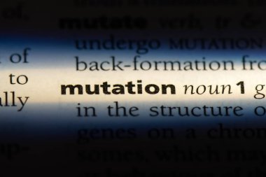 mutasyon Word'de bir sözlük. mutasyon kavramı.