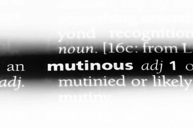 isyancı tek kelimeyle bir sözlük. isyancı kavramı.