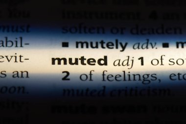 sessiz tek kelimeyle bir sözlük. sessiz kavramı.