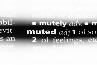 sessiz tek kelimeyle bir sözlük. sessiz kavramı.