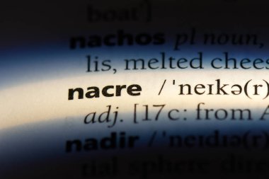 Sedefli Word'de bir sözlük. Sedefli kavramı.