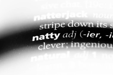 zarif tek kelimeyle bir sözlük. zarif kavramı.