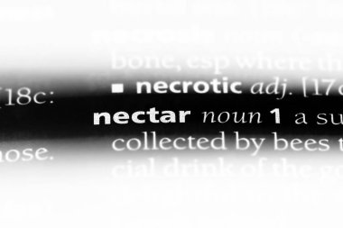 nektar Word'de bir sözlük. nektar kavramı.