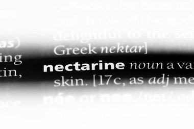 nektarin Word'de bir sözlük. nektarin kavramı.