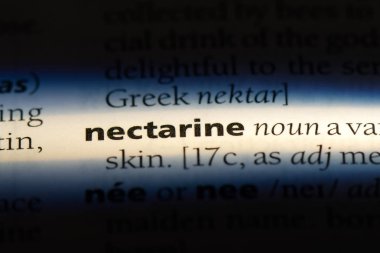 nektarin Word'de bir sözlük. nektarin kavramı.