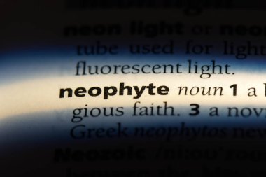 acemi Word'de bir sözlük. acemi kavramı.