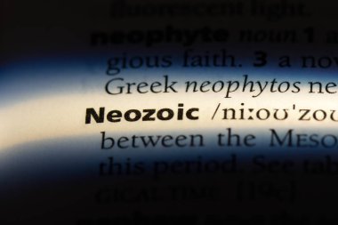 neozoic sözcük sözlüğe. neozoic kavramı.
