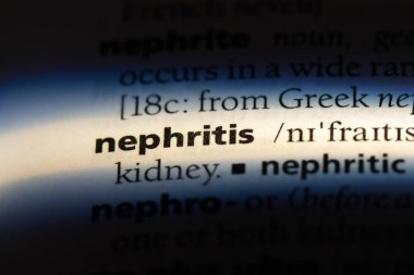 nefrit Word'de bir sözlük. nefrit kavramı.