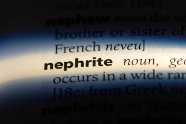 Nephrite sözcük sözlüğe. Nephrite kavramı.