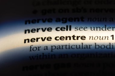 sinir merkezi bir sözlük tek kelimeyle. sinir merkezi kavramı.