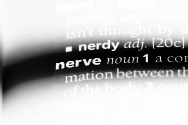 sinir Word'de bir sözlük. sinir kavramı.