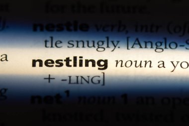 Word bir sözlük içinde iç içe geçirme. iç içe geçmiş kavramı.