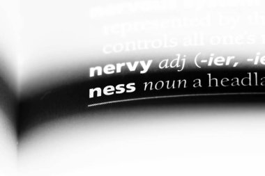 Ness Word'de bir sözlük. Ness kavramı.