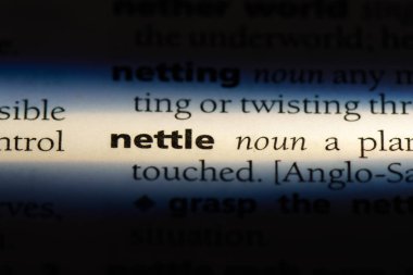 Isırgan Word'de bir sözlük. Isırgan kavramı.