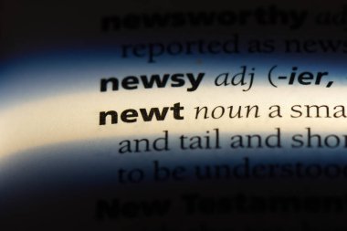 Newt Word'de bir sözlük. Newt kavramı.