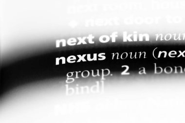 Nexus bir sözlük tek kelimeyle. Nexus kavramı.