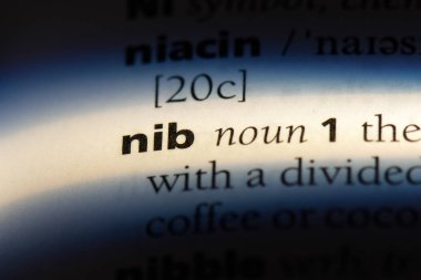 NIB Word'de bir sözlük. NIB kavramı.