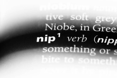 bir sözlüğü'ndeki sözcüğü nip. Nip kavramı.