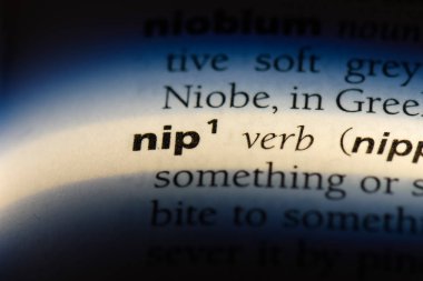 bir sözlüğü'ndeki sözcüğü nip. Nip kavramı.