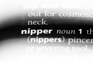Nipper Word'de bir sözlük. Nipper kavramı.