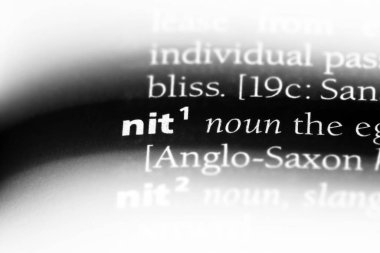 NIT Word'de bir sözlük. NIT kavramı.