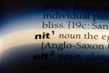 NIT Word'de bir sözlük. NIT kavramı.