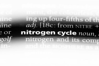 azot döngüsü Word'de bir sözlük. azot döngüsü kavramı.