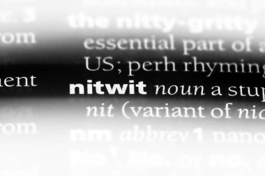kuş beyinli Word'de bir sözlük. kuş beyinli kavramı.