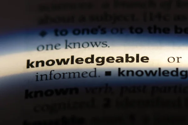 字典里有知识的单词 知识理念 — 图库照片