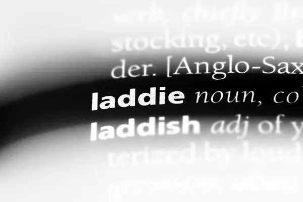 Laddie는 사전에서 Laddie — 스톡 사진