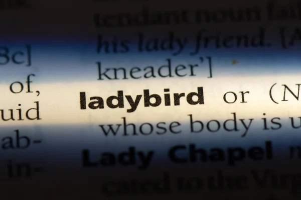 Божье Слово Словаре Ladybird — стоковое фото