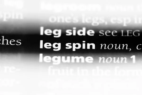 Leg Spin Word Dictionary Leg Spin Concept — Stock Photo, Image