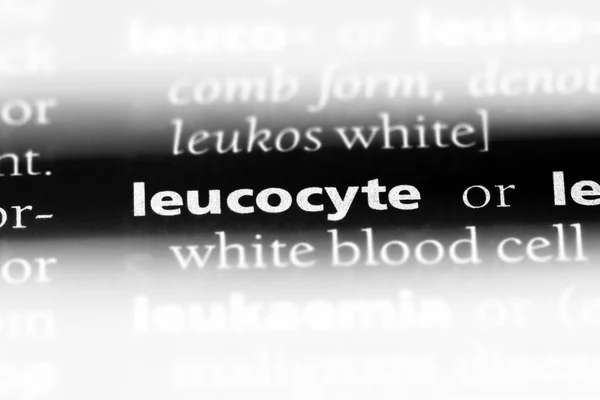Palabra Leucocito Diccionario Concepto Leucocito — Foto de Stock