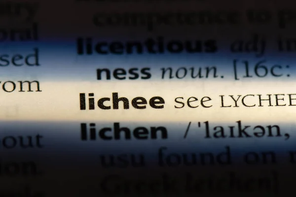 Lichee Słowo Słowniku Koncepcja Lichee — Zdjęcie stockowe