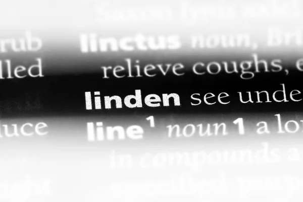 Linden Slovo Slovníku Linden Koncept — Stock fotografie
