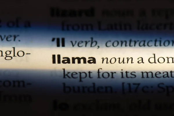 単語を辞書でラマ ラマのコンセプト — ストック写真