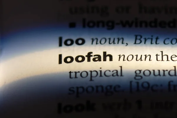 Логічне Слово Словнику Концепція Loofah — стокове фото
