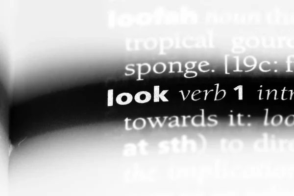 Chercher Mot Dans Dictionnaire Concept Look — Photo